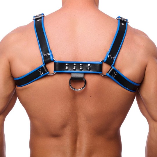 PREMIUM LEATHER HARNESS - BLACK/BLUE