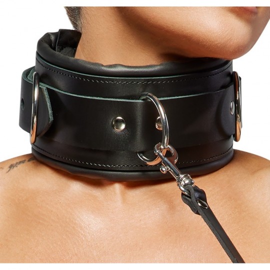 LEATHER COLLAR/LEASH