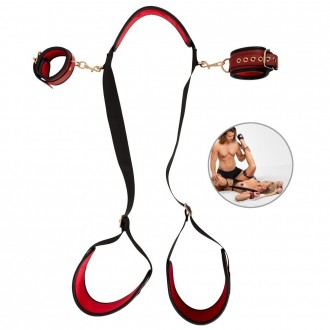 NECK/THIGH RESTRAINT SET