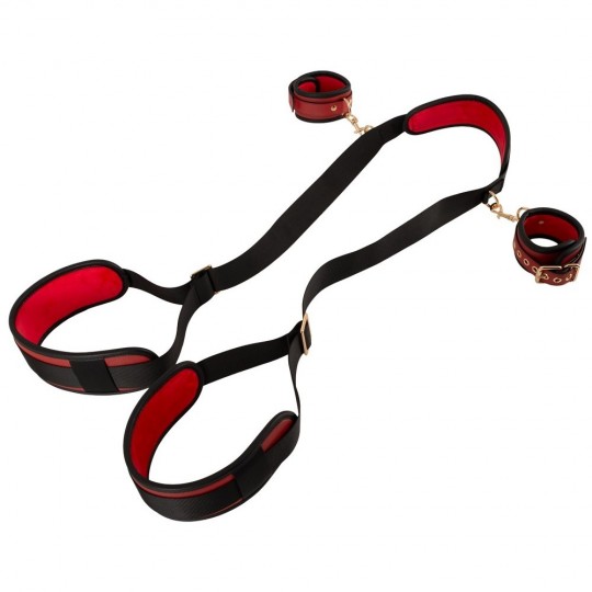 NECK/THIGH RESTRAINT SET