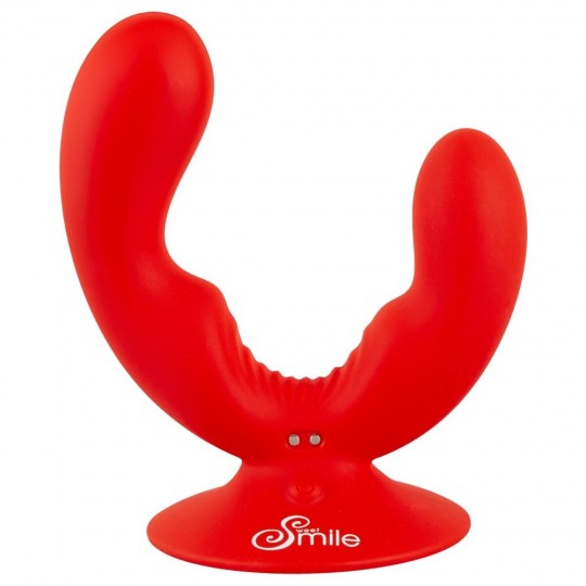 DUAL VIBRATOR