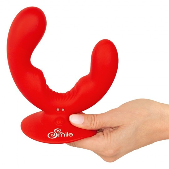 DUAL VIBRATOR