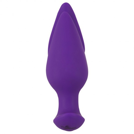 RC 2 IN 1 PLUG &amp; PANTY VIBE