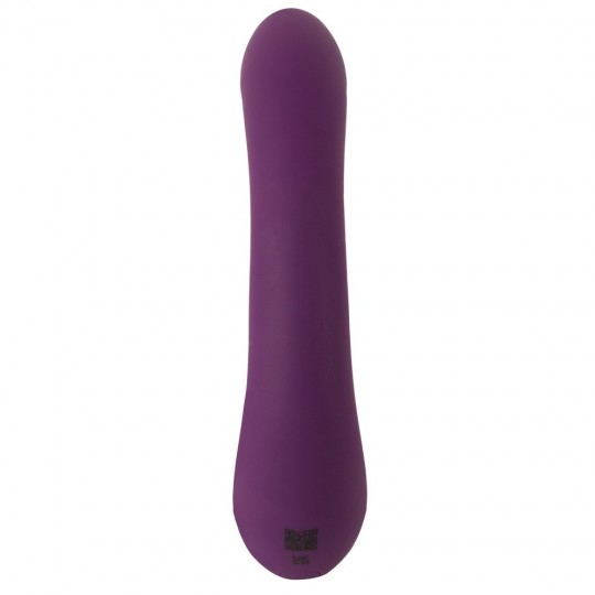 VIBRATOR WITH NODDING FUNCTION