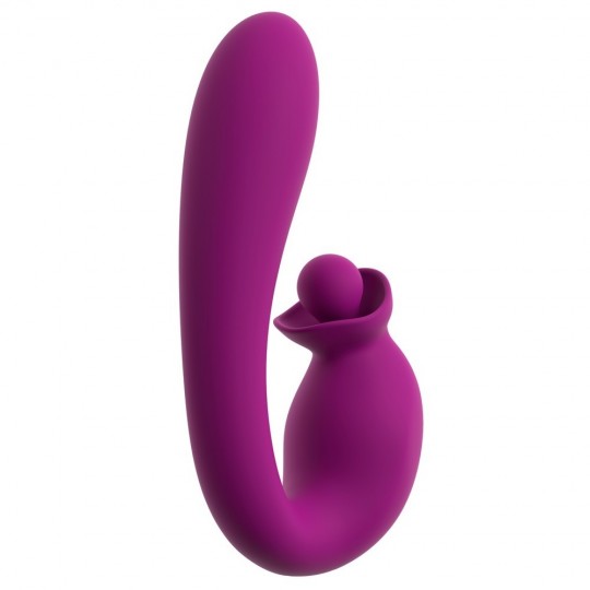 VIBRATOR WITH DOUBLE ROTATION